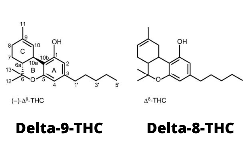 Tác dụng của Delta 8 THC là gì?
