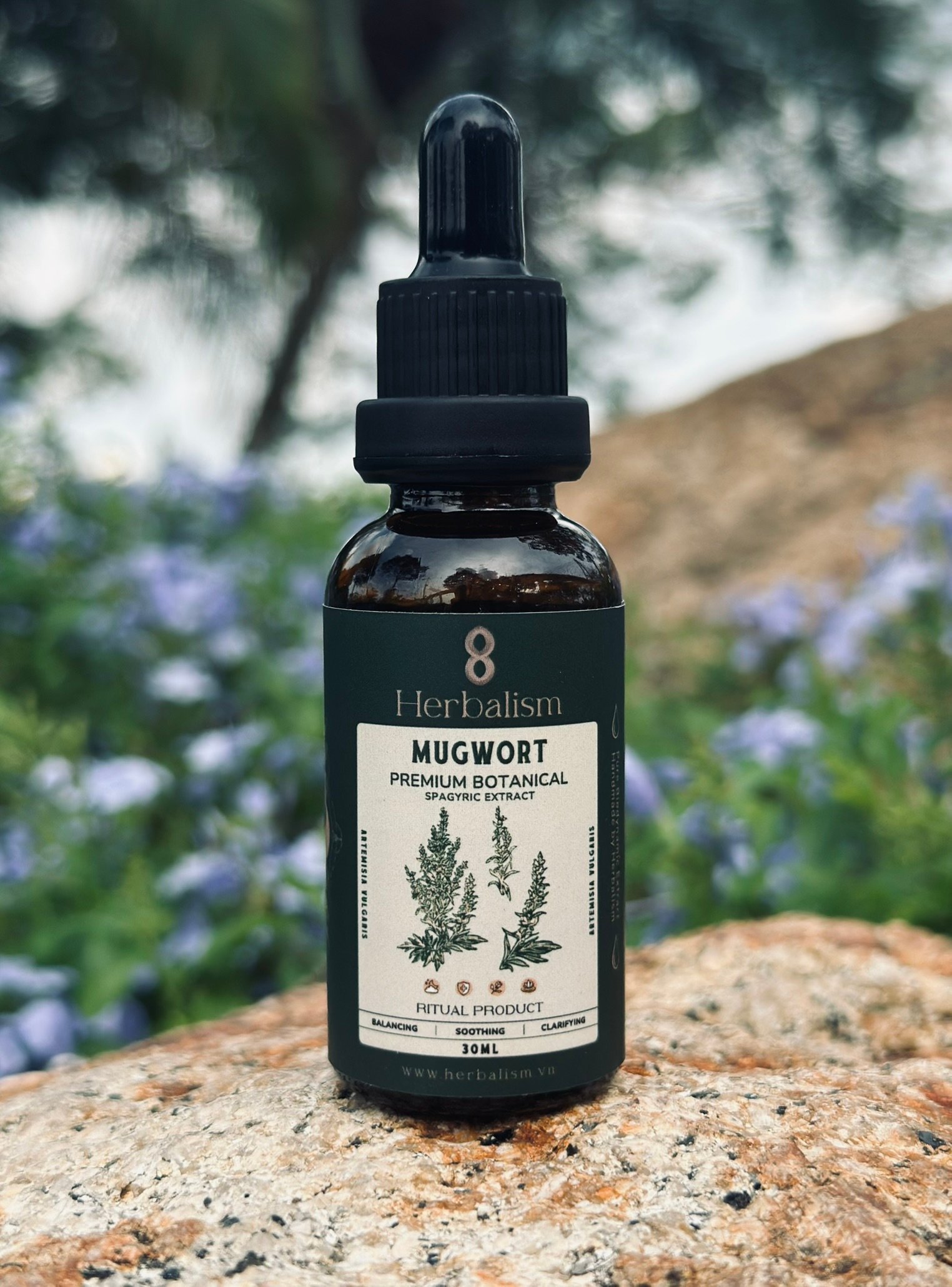 Chiết Xuất Ngải Cứu Spagyric Tincture (Artemisia vulgaris)