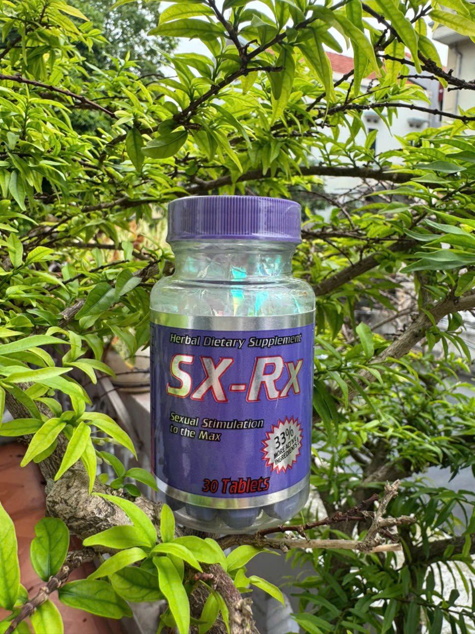 SX-RX ( Libido dành cho Nam )